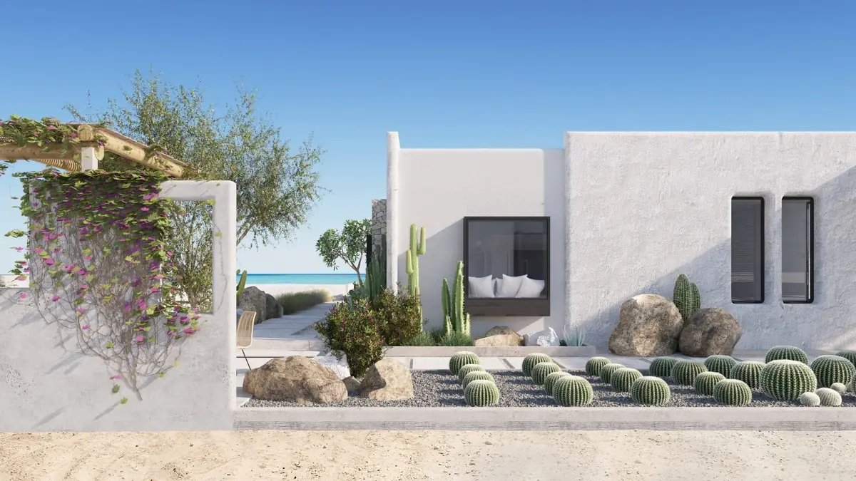 Masyaf Ras Al-Hekma – White villa wall with a cactus and boulder garden beside a bougainvillea pergola